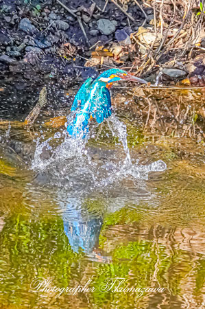 20260309-nogawa06492t