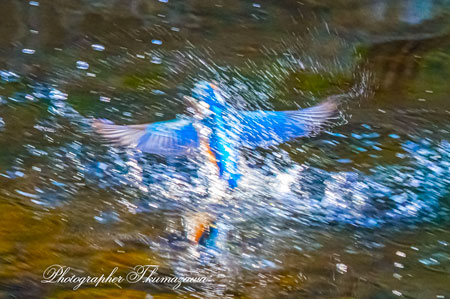 20260309-nogawa07292