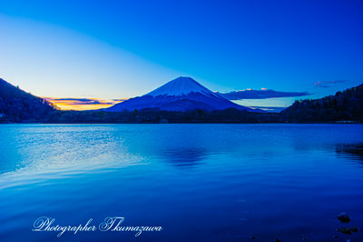 20260314-syojiko2536