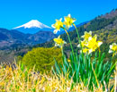 20260408-otsukishi_magi3023m