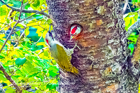 20260418-nogawa03831