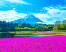 20260425-fujimotosuko-resort3197m
