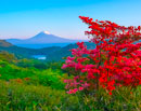 20260516-izuskyline_kurotake3310m