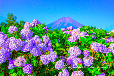20260710-fujiyoshida_nodokoen2914