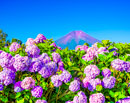 20260710-fujiyoshidashi2942m