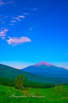 20260721-mikunotoge2982t
