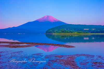 20260721-yamanakako2978