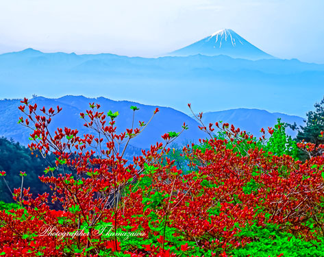 19950528-obinayama451353