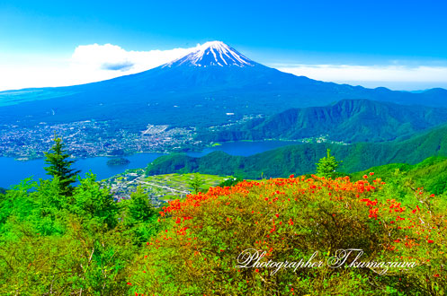 20140615-shindotoge1569