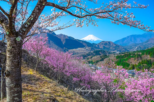 20180401-otsuki_oise061