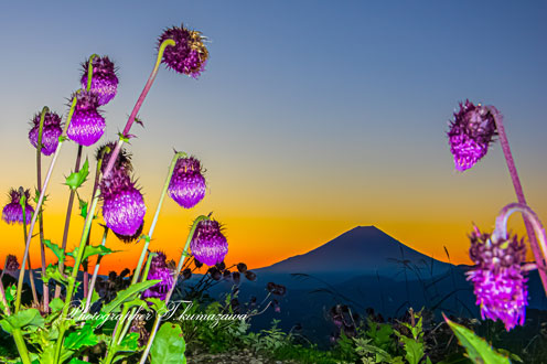 20191005-kushigatayama0111