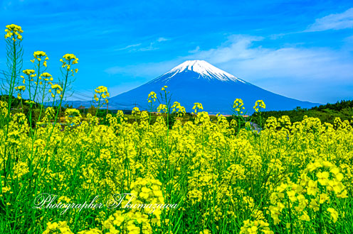 20210424-susonoshi_suyama161