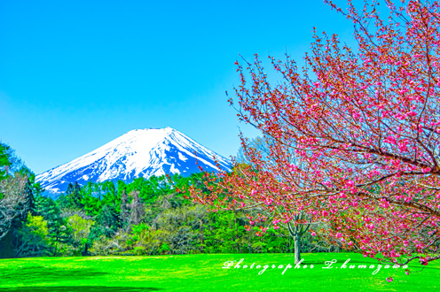 20220430-suwanomorio2644