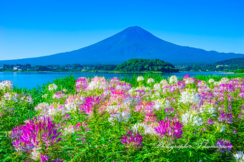 20220723-kawaguchiko2713