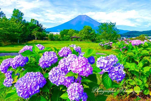 20250628-fujiyoshidashi06303