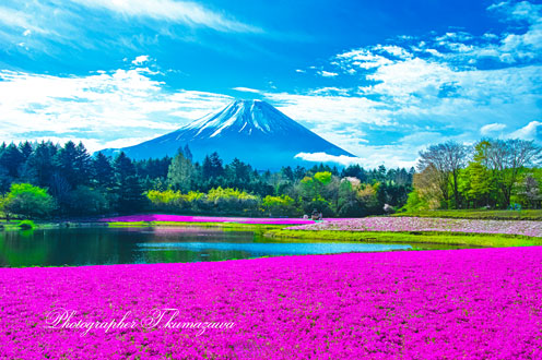 20260425-fujimotosuko-resort3197