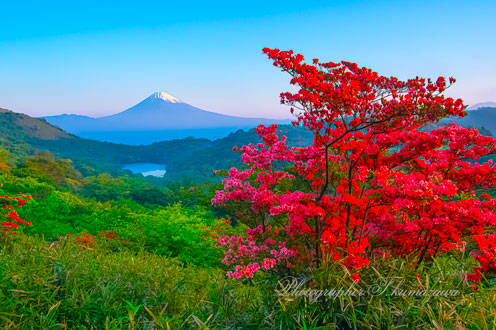 20260516-izuskyline_kurotake3310