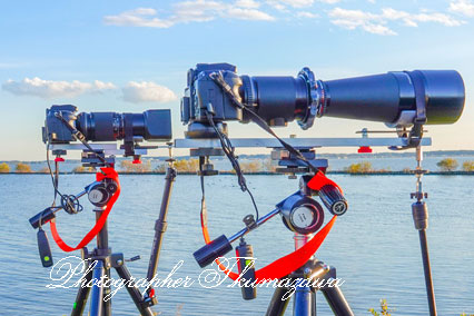 MY_CAMERA_kumazawa01