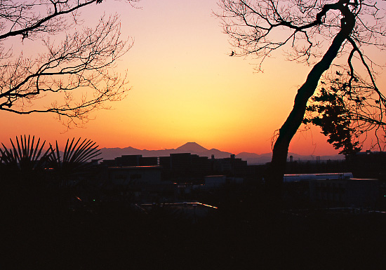 20080125_mitakashi4