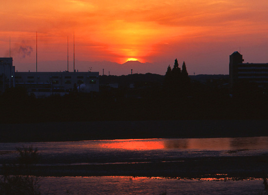 20081105_komaeshi-motoizumi