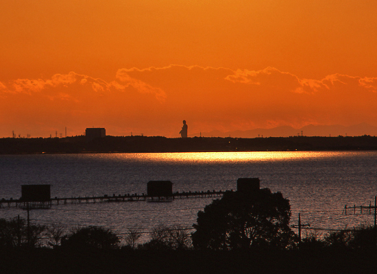 20081130_kasumigaura-tega01
