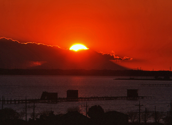 20081130_kasumigaura-tega1