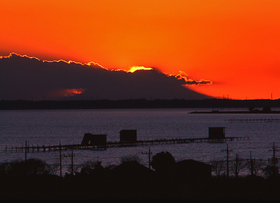 20081130_kasumigaura-tega11