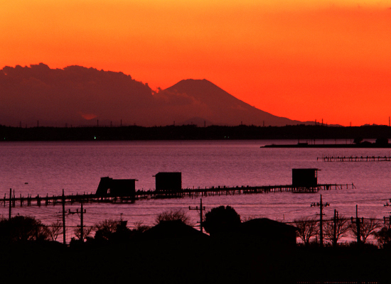 20081130_kasumigaura-tega22