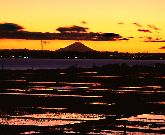 20090102-kasumigaurashi4