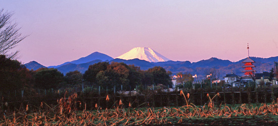 20091202-hachioujishi1a