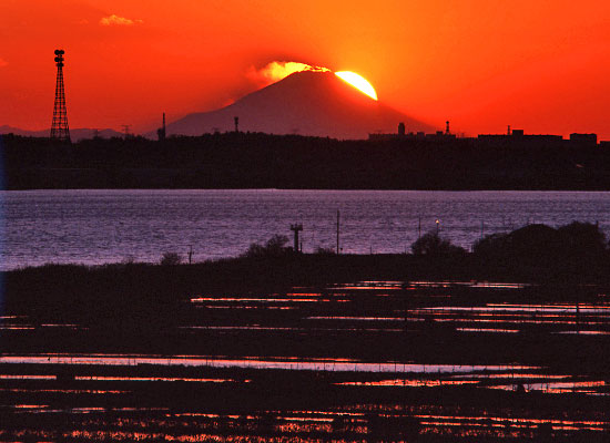 20100102-yasakajinjya4d