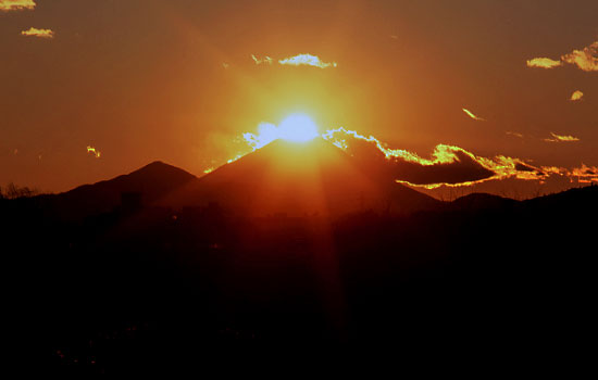 20100105-tachikawashi_shiba