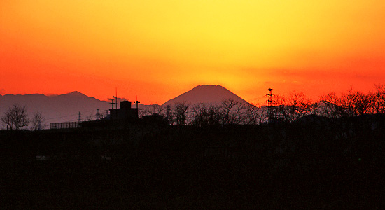 20100130-tamagawa2c
