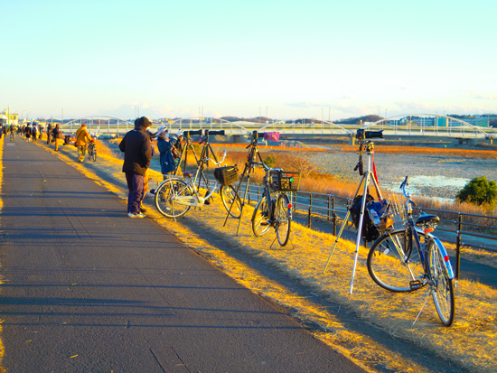 20210130-chofu_tamagawa1325