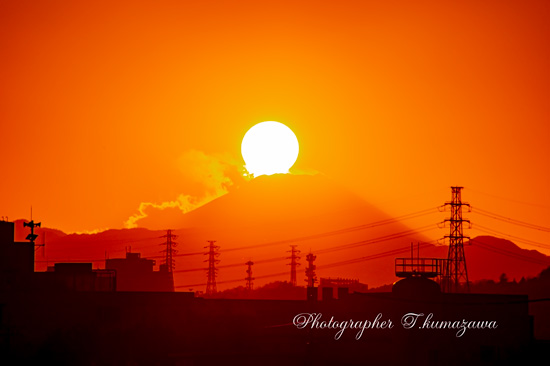 20210130-chofu_tamagawa3553