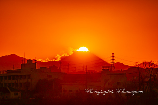 20210130-chofu_tamagawa3564