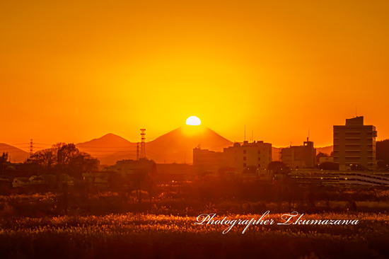 20211215-tachikawa_fujimicyo5267