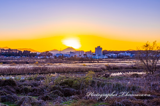 20211215-tachikawa_fujimicyo5279