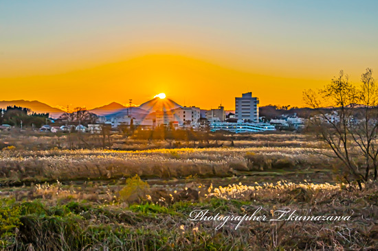 20211218-tachikawa_fujimicyo6_5317