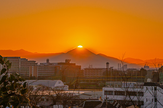 20220124-mitakasi_tenmondaiura6440