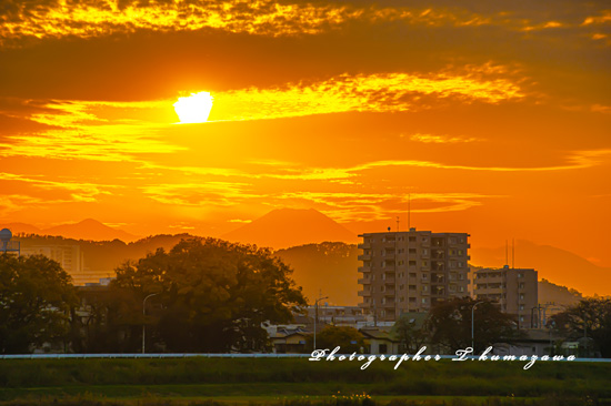 20221110-chofu_tamagawa42954