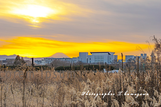 20230126-Chofu_Airport3558