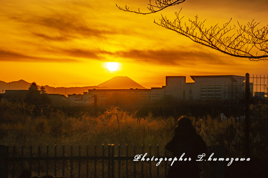 20230126-Chofu_Airport3582