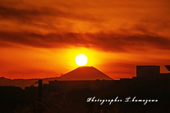 20230126-Chofu_Airport3586