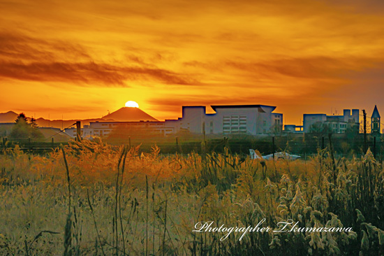 20230126-Chofu_Airport3611