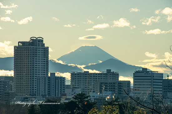 20240121-fuchu_sengenyama2980