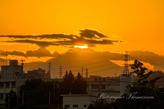 20241111-chofu_tamagawa2_4970