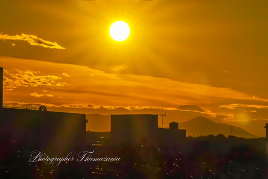 20241123-fuchu_nishifu09832