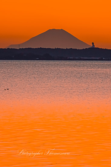 20241125-kasumigaura_inoue00223t