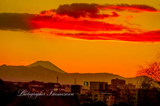 20250209-setagayaku_unane02257